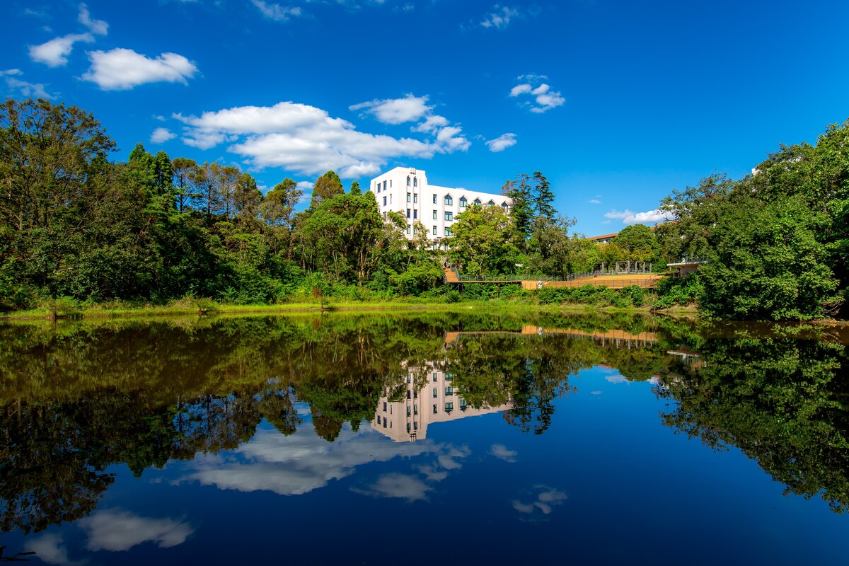 Osaka University